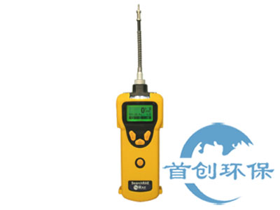 美國華瑞PGM-1600可燃?xì)?毒氣檢測(cè)儀